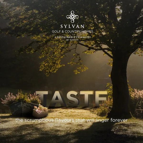 Sylvan: giant letters spell 'taste' beside a picnic basket under a sunlit tree.