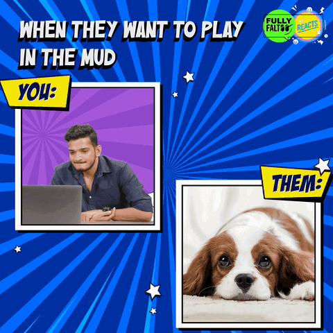 Puppy Day meme, part one: when they want to play in the mud.